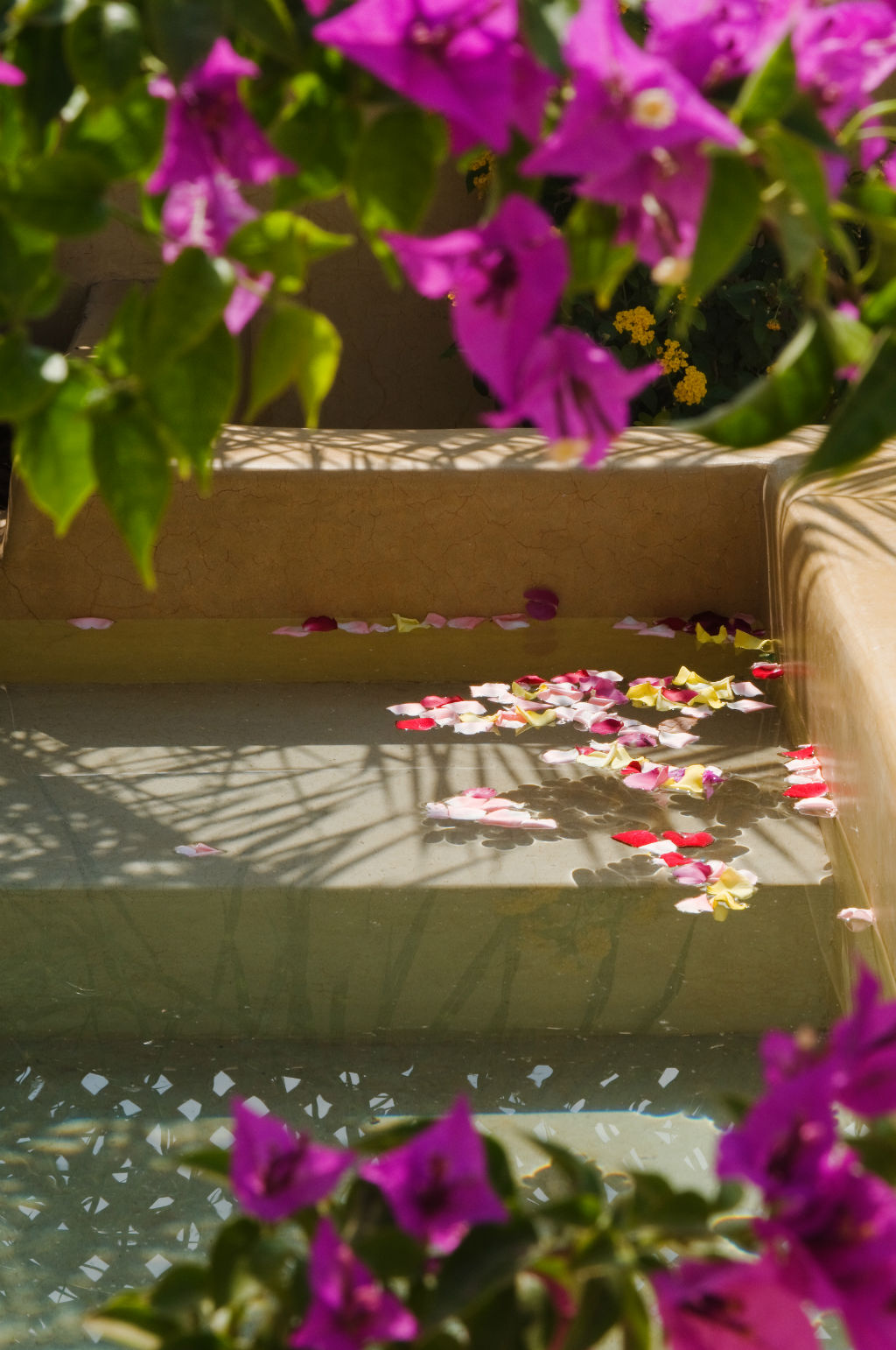 flowers-in-bloom-marrakech